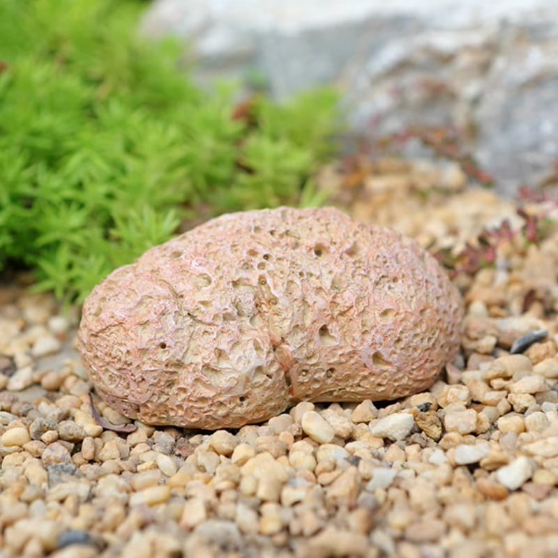 🔥Simulated Stone Key Hider Safe Storage Box