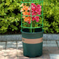 🔥Time-Limited Special🔥Detachable Plant Frame Support Stakes for Flowers and Fruits