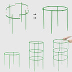🔥Time-Limited Special🔥Detachable Plant Frame Support Stakes for Flowers and Fruits