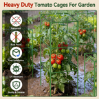 Adjustable Modular Plant Support Cage