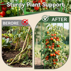 Adjustable Modular Plant Support Cage