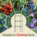 Adjustable Modular Plant Support Cage