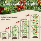 Adjustable Modular Plant Support Cage