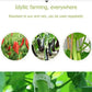 🗜️Clips For Climbing Plants – Plastic tomato ties and plant fasteners 🌱🍅