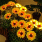 🌻 Realistic & Weatherproof | Solar Sunflower | IP65 Outdoor Decor