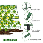 🌿 A-Frame Garden Trellis for Climbing Plants – Sturdy Support for Vines, Flowers & Vegetables 🌸🥒