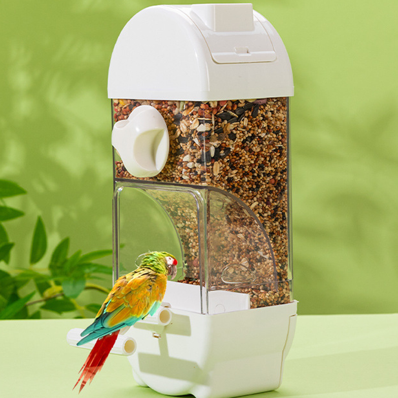 🐦Automatic Large Capacity Bird Feeder