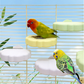⏳Time-Limited Special⏰Cute Cloud-Shaped Bird Perch Platform