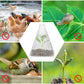 20/30 PCS Clear Garden Cloche for Plants
