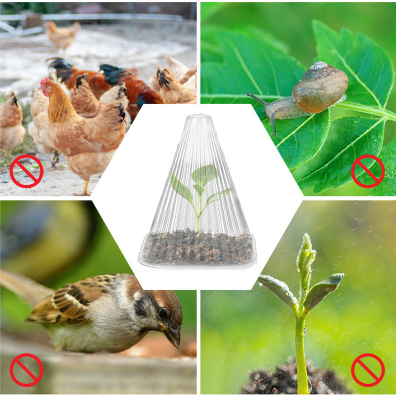 20/30 PCS Clear Garden Cloche for Plants