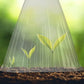 20/30 PCS Clear Garden Cloche for Plants