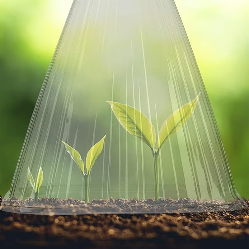20/30 PCS Clear Garden Cloche for Plants