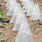20/30 PCS Clear Garden Cloche for Plants