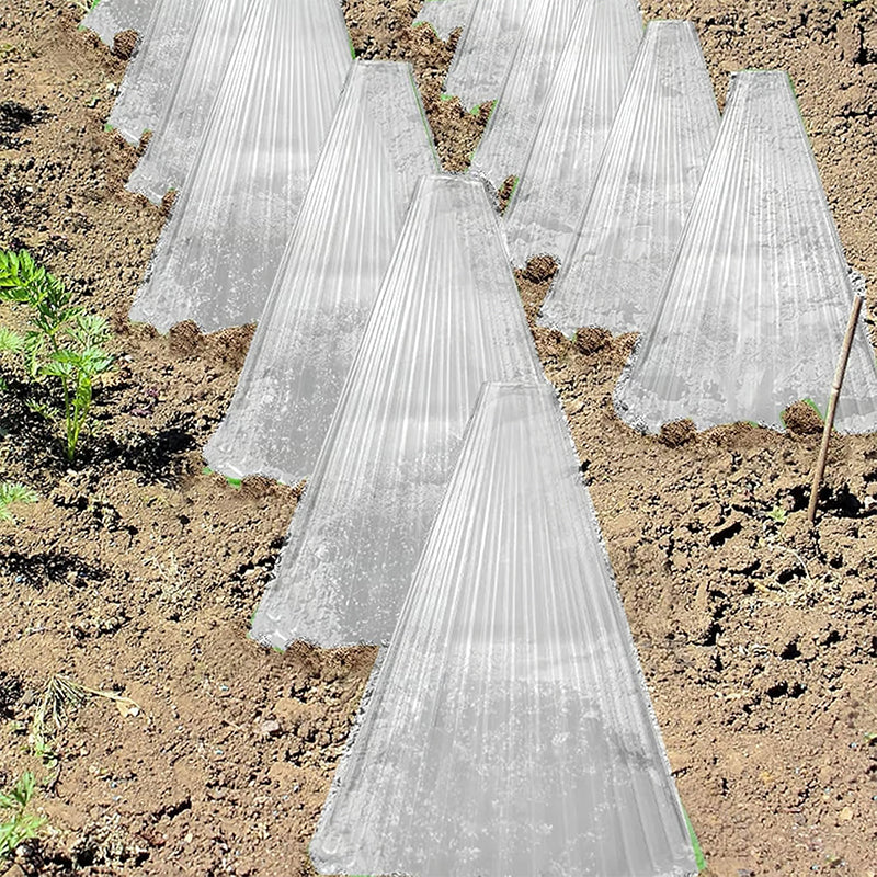 20/30 PCS Clear Garden Cloche for Plants