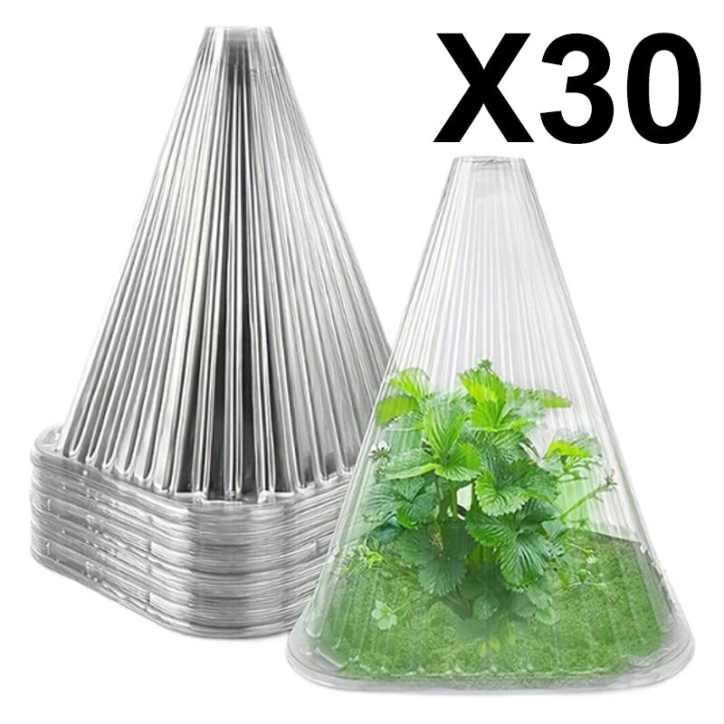 20/30 PCS Clear Garden Cloche for Plants