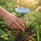 Flower-Shaped Bee Waterer Garden Stake