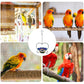 Outdoor Hanging Heart-Shaped Bird Feeder
