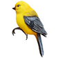 Realistic Delicate Bird Figurine for Garden