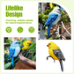 Realistic Delicate Bird Figurine for Garden