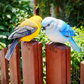 Realistic Delicate Bird Figurine for Garden