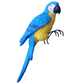 Realistic Delicate Bird Figurine for Garden