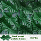 FenceLeaf Green Panel