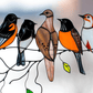 The Best Gift-Birds Stained  Window  Panel Hangings