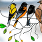 The Best Gift-Birds Stained  Window  Panel Hangings