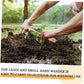 🌿 Patio Weeder Tool – Easily Clear Weeds From Paving Gaps