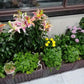 🌱 🥬 Multifunctional Planting Box – Grow veggies & herbs easily ✨