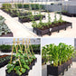 🌱 🥬 Multifunctional Planting Box – Grow veggies & herbs easily ✨