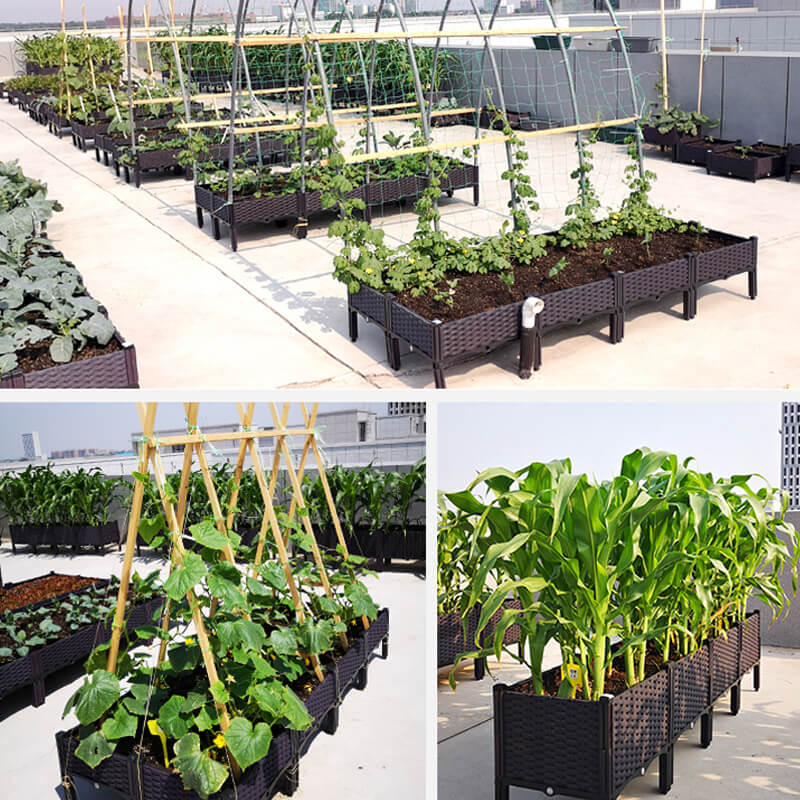 🌱 🥬 Multifunctional Planting Box – Grow veggies & herbs easily ✨