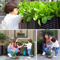 🌱 🥬 Multifunctional Planting Box – Grow veggies & herbs easily ✨