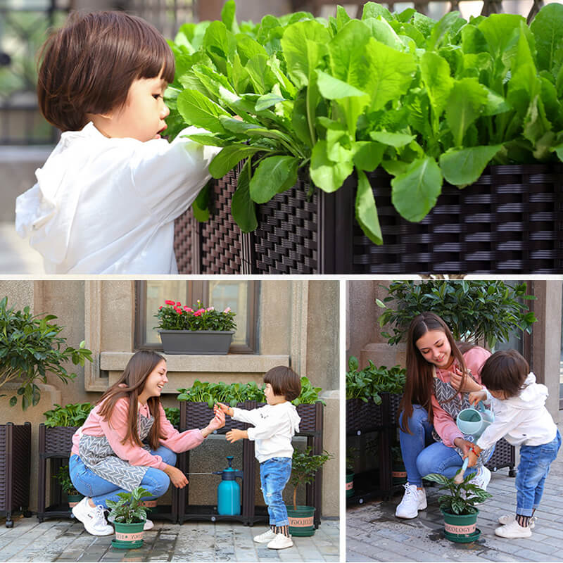 🌱 🥬 Multifunctional Planting Box – Grow veggies & herbs easily ✨
