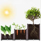 🌱 🥬 Multifunctional Planting Box – Grow veggies & herbs easily ✨