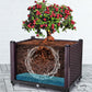 🌱 🥬 Multifunctional Planting Box – Grow veggies & herbs easily ✨