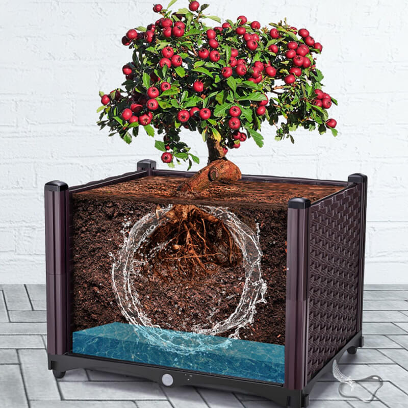 🌱 🥬 Multifunctional Planting Box – Grow veggies & herbs easily ✨