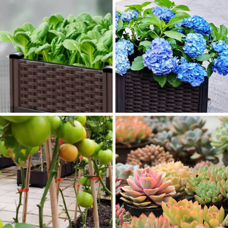🌱 🥬 Multifunctional Planting Box – Grow veggies & herbs easily ✨