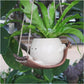 💝Smiley Face Planter Pot